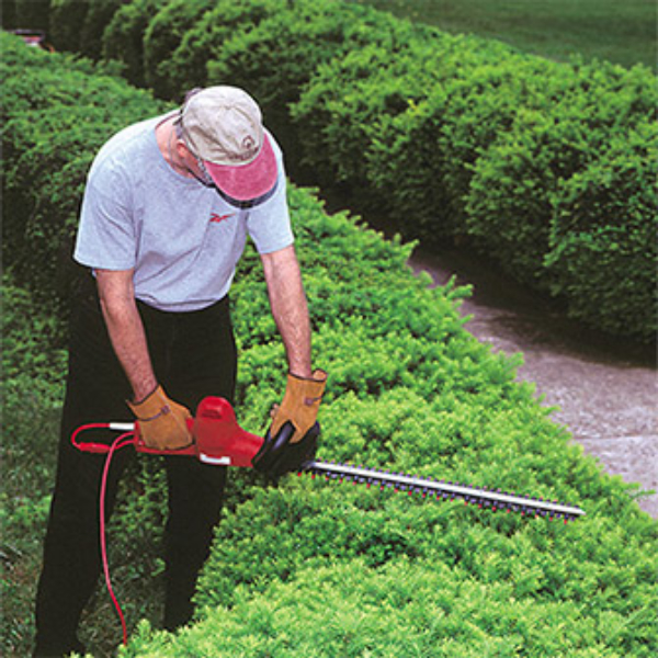 little wonder hedge trimmer prices